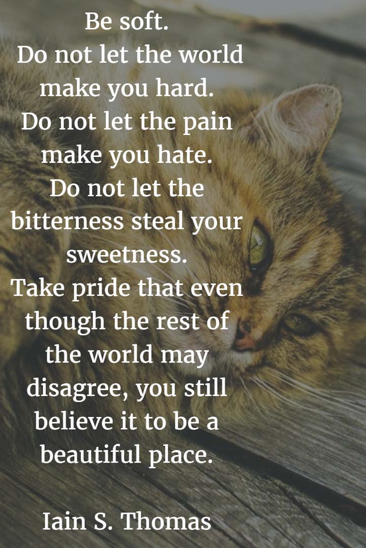 Be soft. Do not let the world make you hard. Do not let the pain make you hate. Do not let the bitterness steal your sweetness. Take pride that even though the rest of the world may disagree, you still believe it to be a beautiful place. — Iain S. Thomas