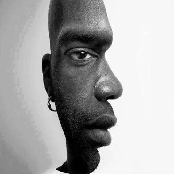 Ambiguous Figure: double headed illusion: These images are two examples of ambiguous figures featuring faces that can be seen in two ways: face forward and face to the side.