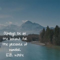 E.B. White on Wonder