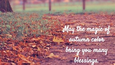 Irish Proverb: On the Magic of Autumn