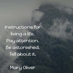 Mary Oliver: Instructions for Living a Life