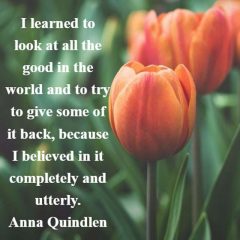 Anna Quindlen: On the Good