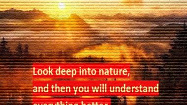 Albert Einstein: Look Deep Into Nature