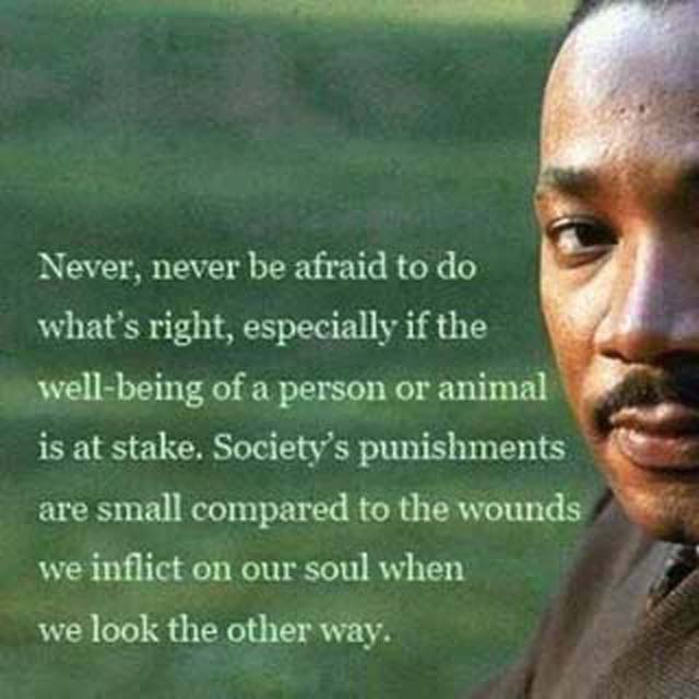 Martin Luther King Jr. on doing what's right