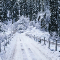 Happy Holiday GIF: Snowy Lane
