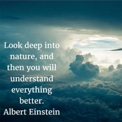 Albert Einstein on Nature