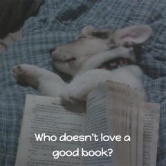 Cute Puppy Meme: Love a good book!