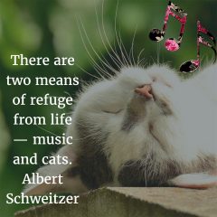 Albert Schweitzer on music and cats