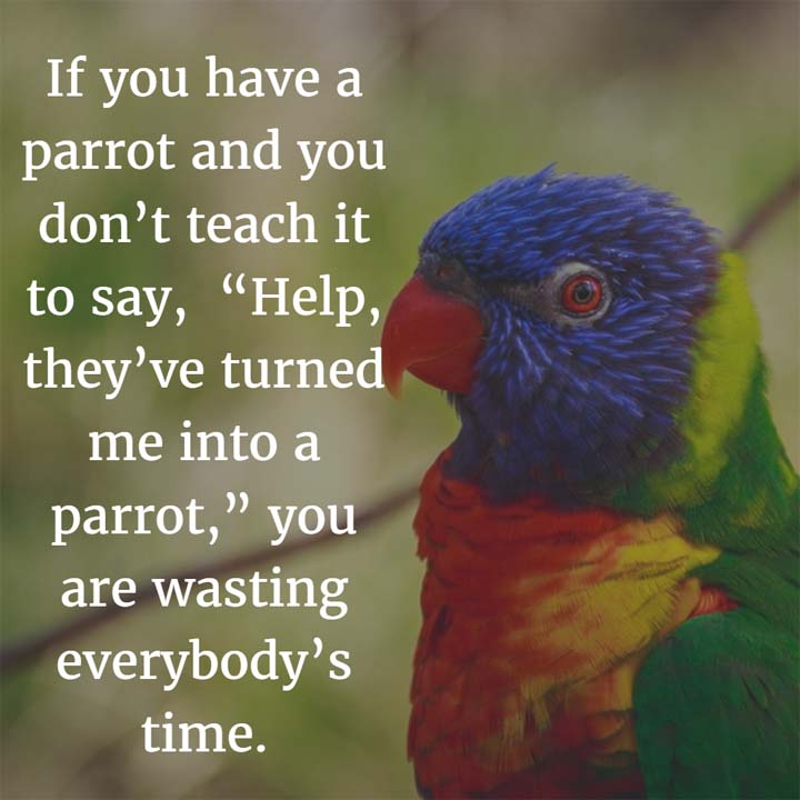 Funny Parrot Image