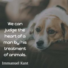 Immanuel Kant on the heart of men