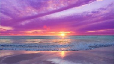 Purple Sunset