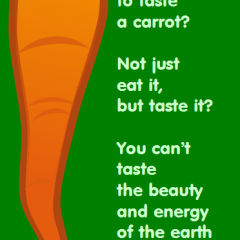Have You Ever Tasted a Carrot?