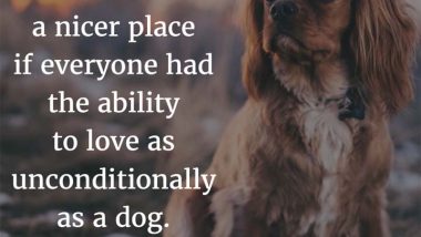 M K Clinton on the Love of Dogs