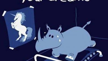 Rhino - Unicorn Meme
