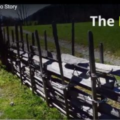 The Fence: A Video Story