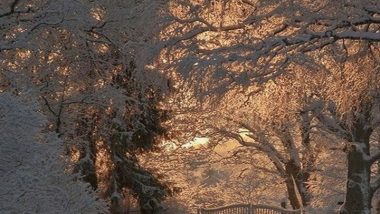Snowy Sunscapes