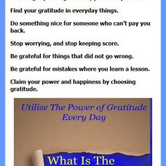 Gratitude Rule by D L Hart