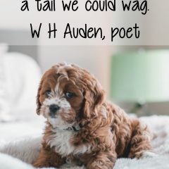 W H Auden on A Tail That Wags