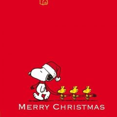 Merry Christmas from Snoopy and Woodstock