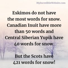 Words for Snow