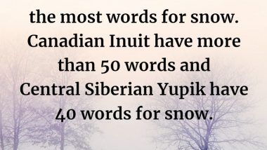 Words for Snow