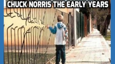Chuck Norris: The Early Years