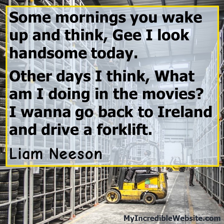 Some mornings you wake up and think, Gee I look handsome today. Other days I think, What am I doing in the movies? I wanna go back to Ireland and drive a forklift. — Liam Neeson