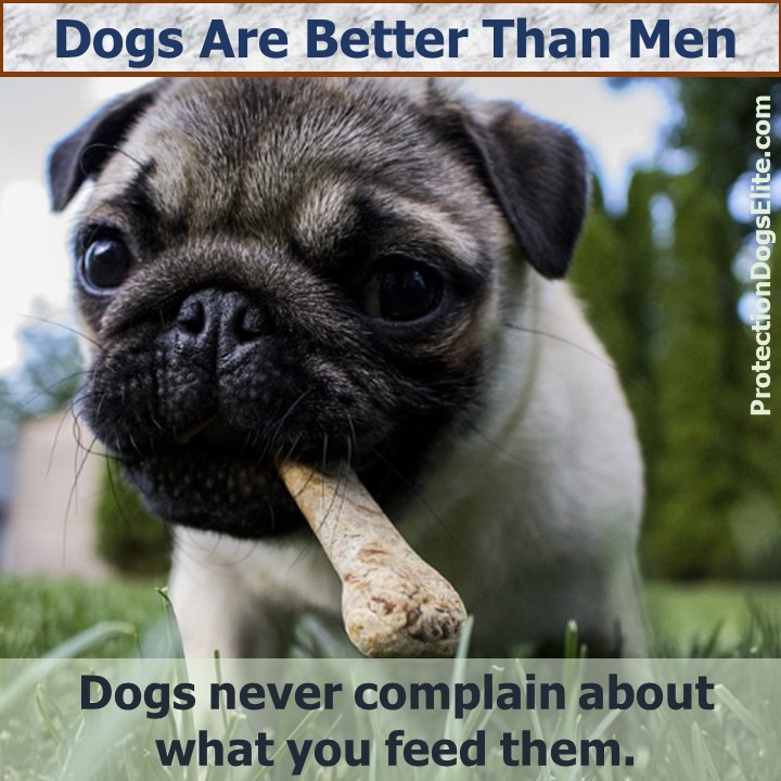 Dogs are better than men: Dogs never complain about what you feed them.