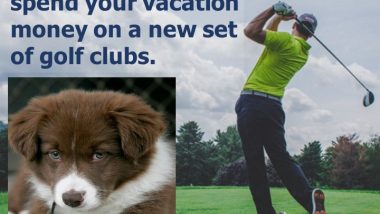Dogs Are Better Than Men: Golfing