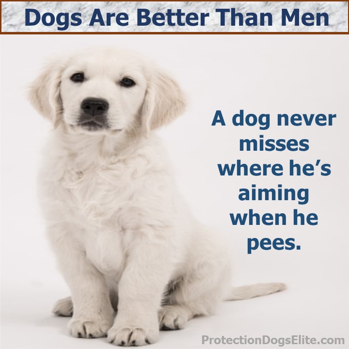 Dogs are better than men: A dog never misses where he’s aiming when he pees. I love dogs! I love puppies!