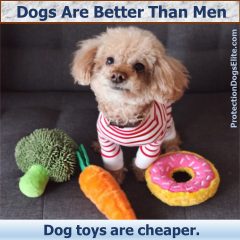 Dogs Are Better Than Men - Toys