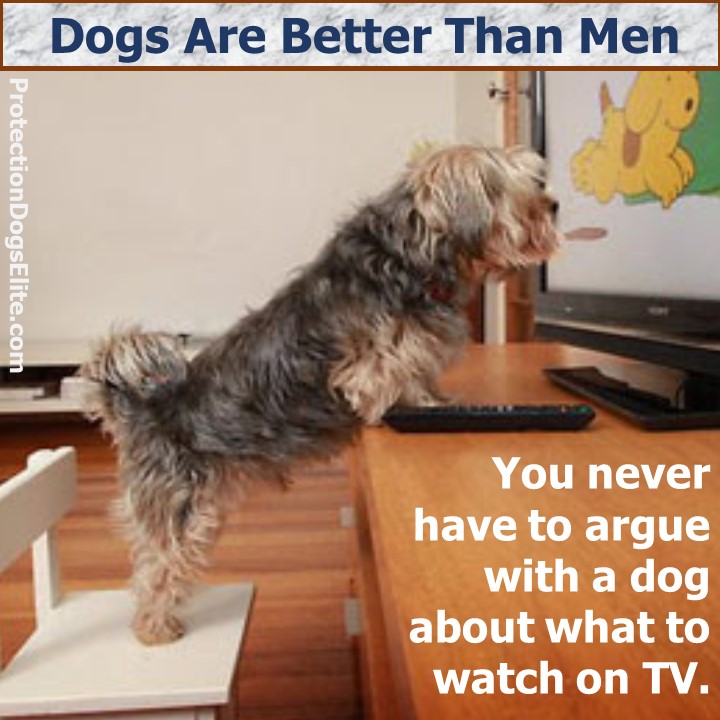 Dogs are better than men: You never have to argue with a dog about what to watch on TV. I love dogs! I love puppies!