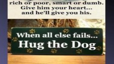 Hug Your Dog