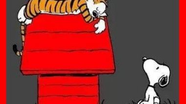 Snoopy and Hobbes: A Great Comic Combo