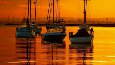 Sunset Sailboats