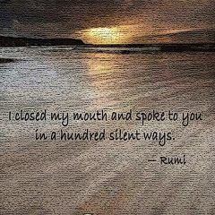 Rumi On Being Silent