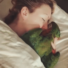 The Lady and the Parrot