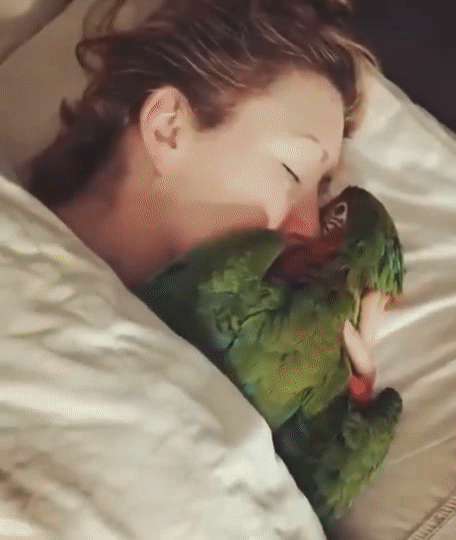 Sleeping Lady with Cute Parrot