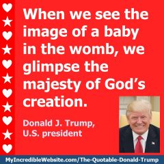 Donald Trump on Babies
