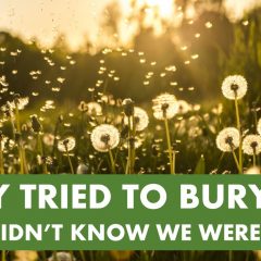 They Tried to Bury Us. They didn't know we were seeds.