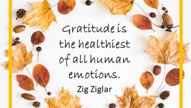 Gratitude is the healthiest of all human emotions. - Zig Ziglar