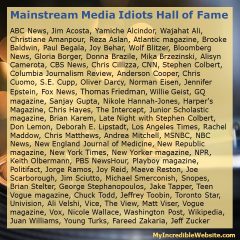 Mainstream Media Idiots Hall of Fame