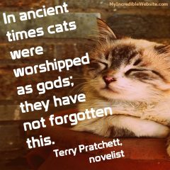 In ancient times cats were worshipped as gods; they have not forgotten this. — Terry Pratchett, novelist