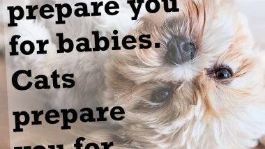 Dogs Prepare You For Babies, Cats Prepare You For Teenagers