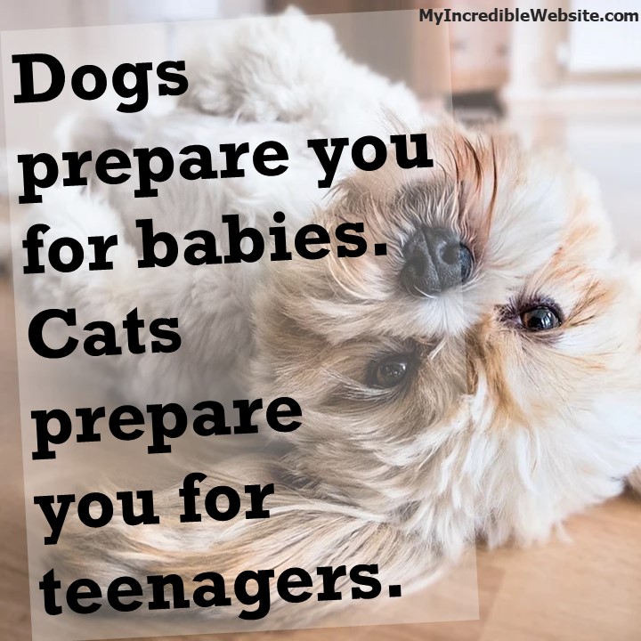Dogs Prepare You For Babies, Cats Prepare You For Teenagers