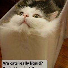 Liquid Cats Meme