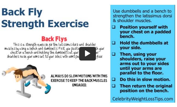 Back Fly Strength Exercises