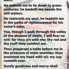 Psalm 23: I Shall Not Want