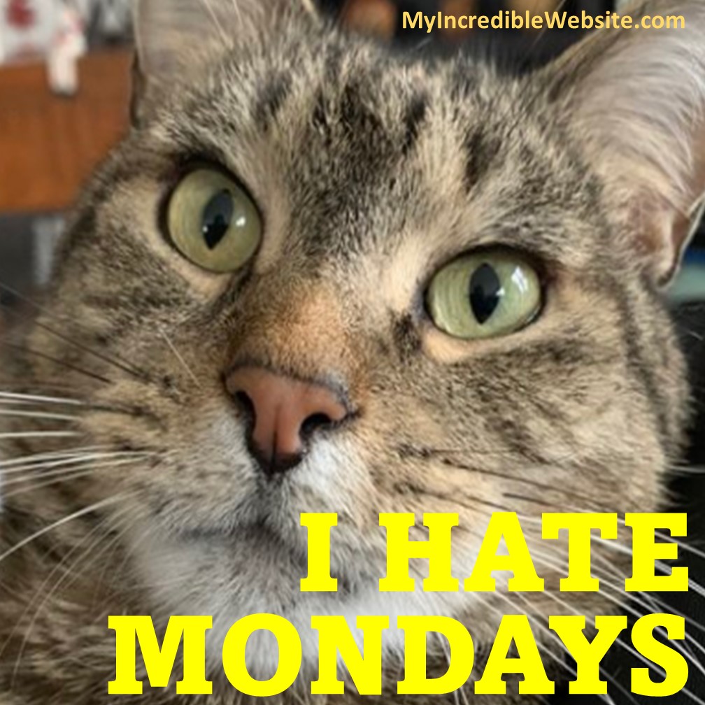 I Hate Mondays! My Incredible site