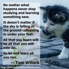 Tom Vrilock on Learning